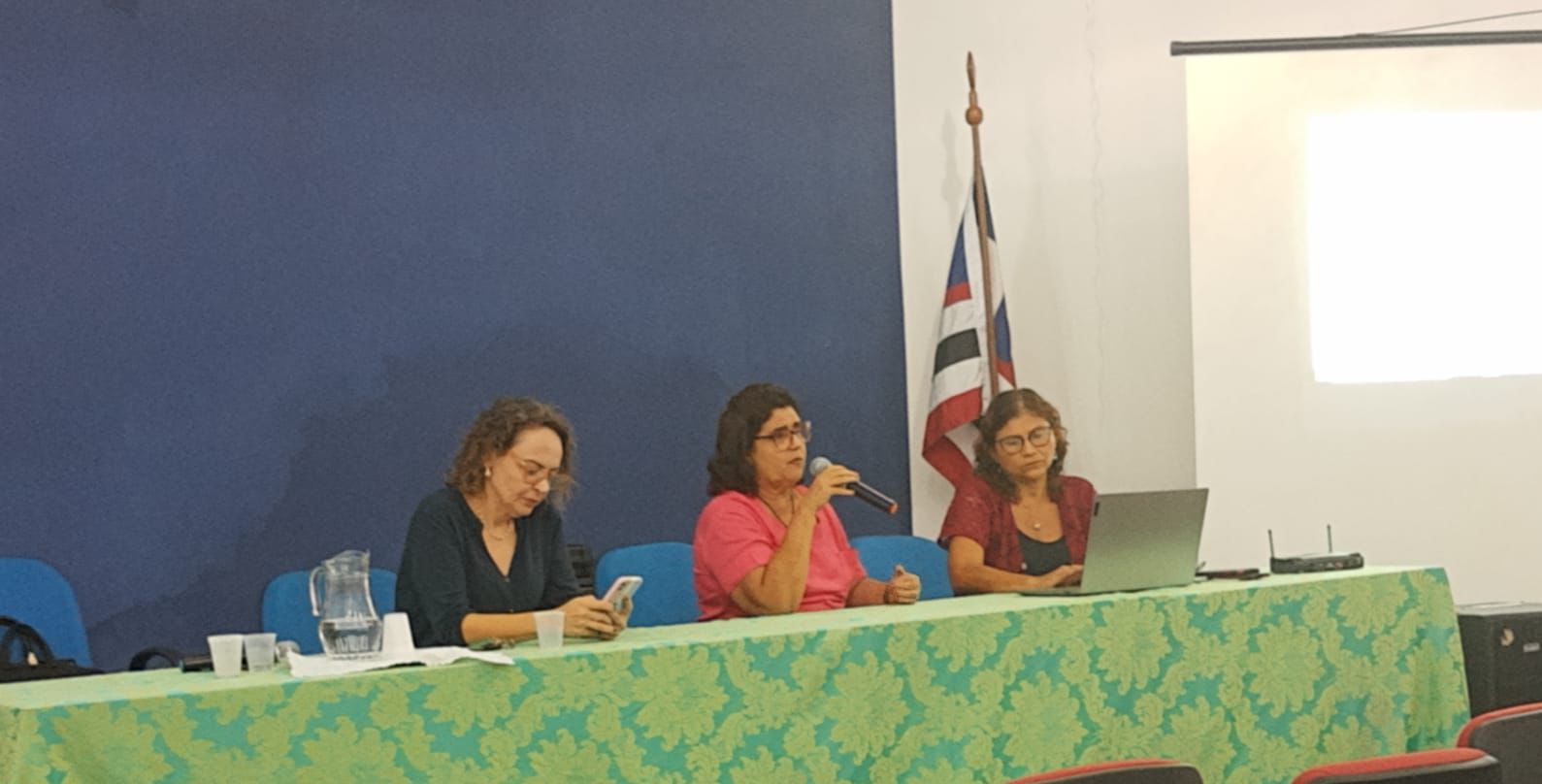 Coordenadora Geral do Programa Ensinar apresenta o Programa durante o I Encontro de Docentes do CECEN/UEMA