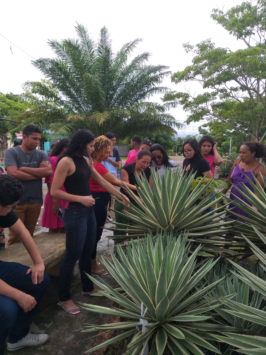 Alunos de Ciências Biológicas aprendem sobre botânica estrutural durante aula de campo