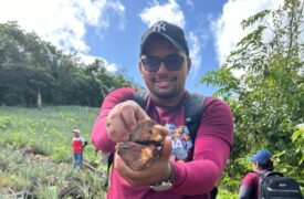 Alunos de Geografia do Polo Turiaçu do Programa Ensinar/Uema fazem análise geológica durante aula de campo