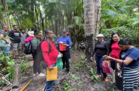Aula de campo no Polo Cedral promove aprendizado prático sobre a diversidade de criptógamos