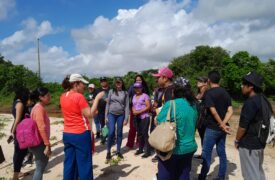 Aula de campo no Rio Pindaré fortalece formação dos alunos de Ciências Biológicas do Polo Santa Inês