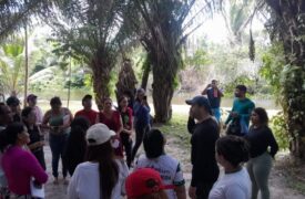 Aula de campo em Apicum-Açu estimula aprendizagem prática e reflexão sobre ecossistemas locais