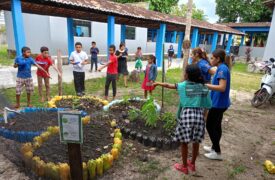 Hortas caseiras e medicinais promovem educação ambiental e resgate de saberes ancestrais em Governador Nunes Freire