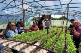 Aula de campo em Agroecologia fortalece aprendizado e aproxima acadêmicos da agricultura familiar em Água Doce do Maranhão